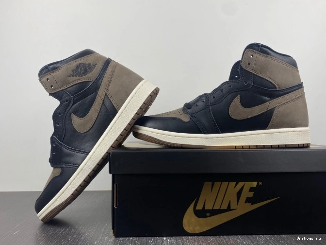 Palomino Jordan Retro DZ5485-020  OG  1  High 0808